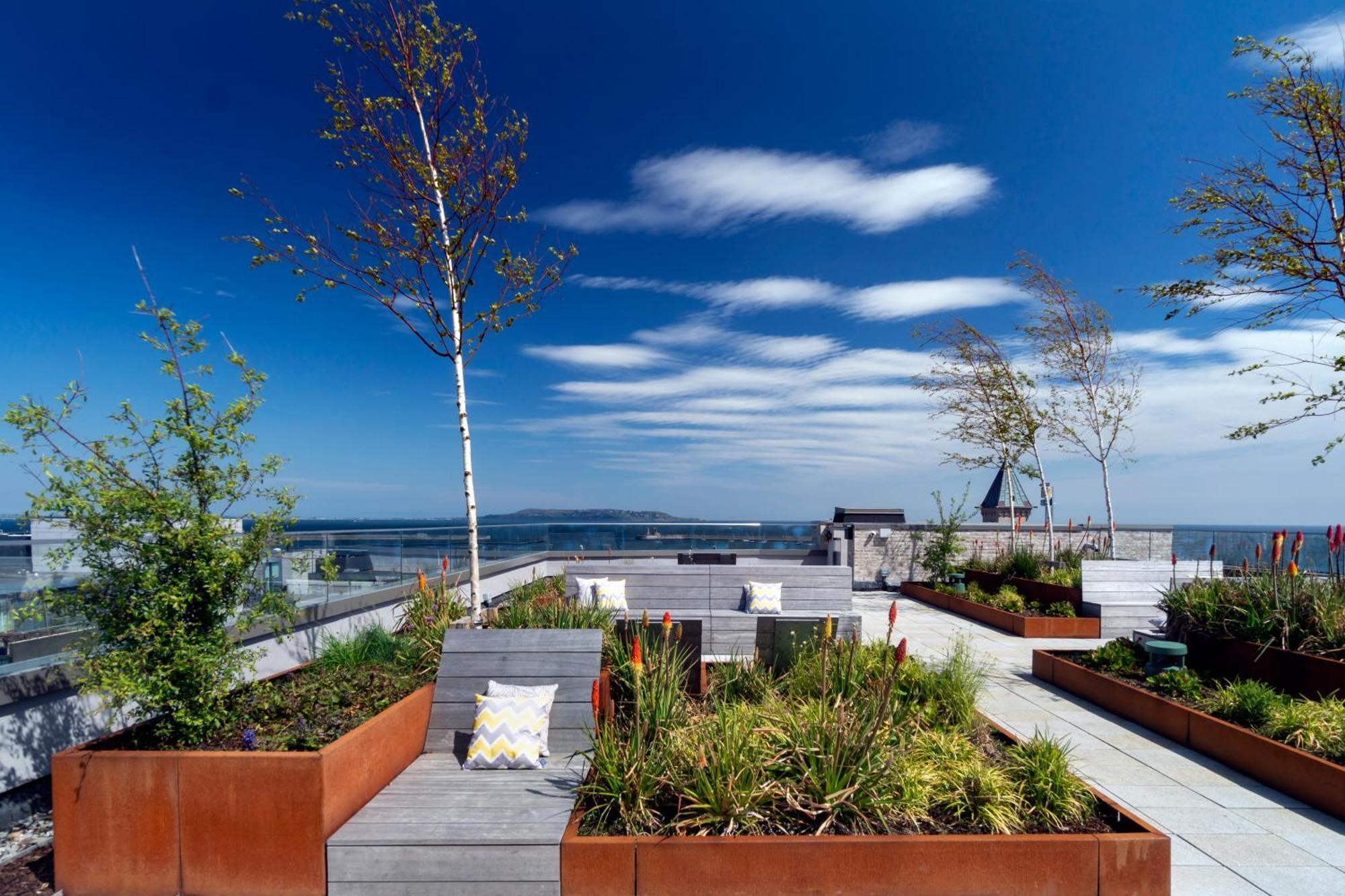 Niche Living - Dun Laoghaire Dublin Bagian luar foto